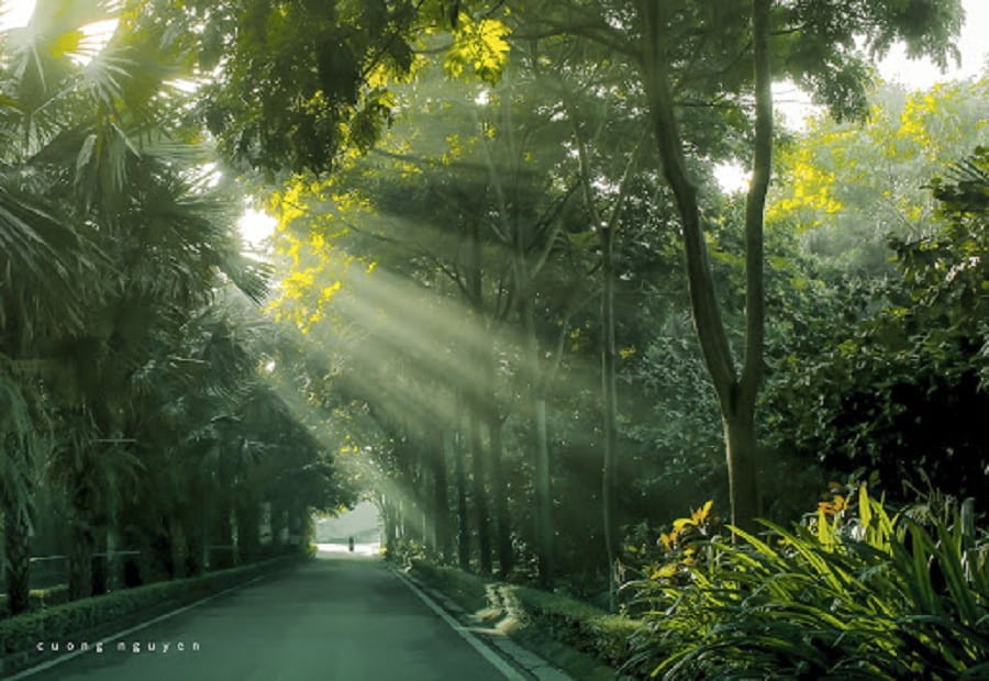 Khu đô thị sinh thái Ecopark với không gian xanh mát, là biểu tượng cho định hướng phát triển bất động sản xanh của Chủ đầu tư Vihajico