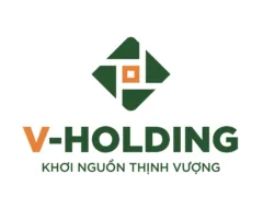 V Holding