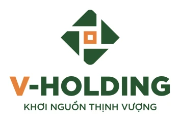 V Holding