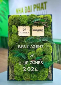 ĐẠI LÝ XUẤT SẮC NHẤT CỦA VÙNG ĐẤT BLUE ZONES 2024