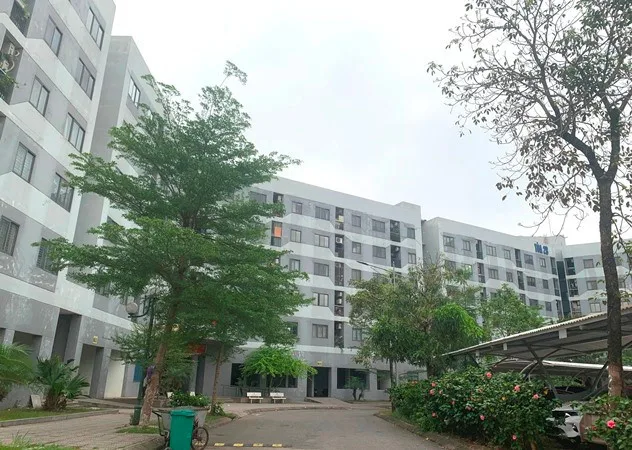 Dãy chung cư nhà ở xã hội cao tầng với cây xanh trong khuôn viên, ảnh minh hoạ nhà ở xã hội tại Hà Nội
