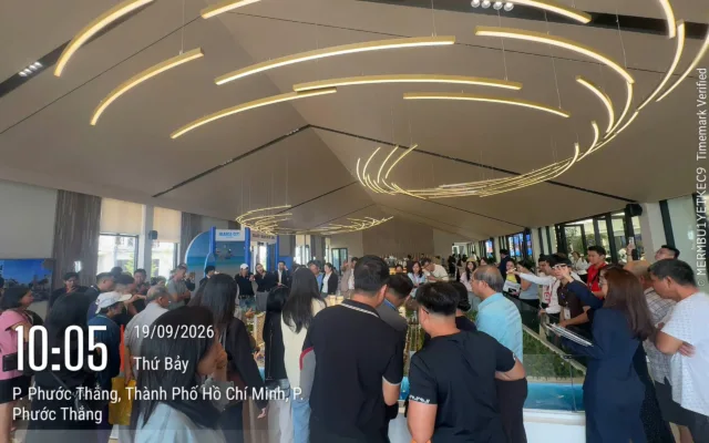 Ảnh hoạt động của Ms Phương