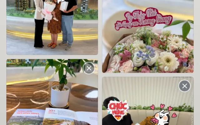 Ảnh hoạt động của Vy Thảo Bùi